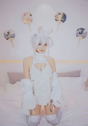 蜜桃av导航