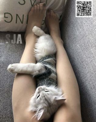 王朝的女人尺度未删减