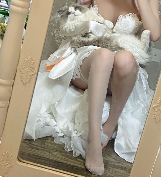 免费动漫在线观看网站