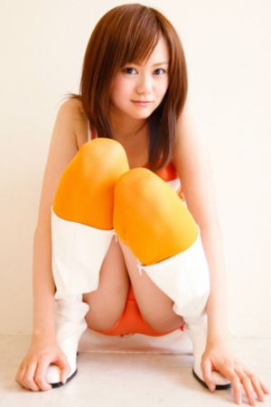 红楼春上春