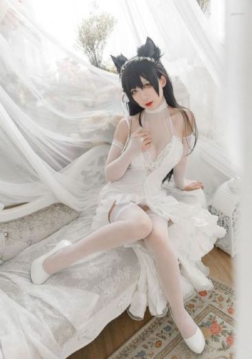 剑与杖的魔法谭