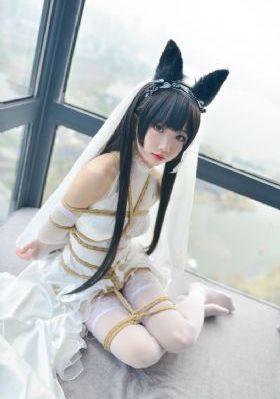 爱情岛在线