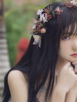 电视剧杀狼花