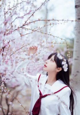 小鱼儿与花无缺免费观看完整版